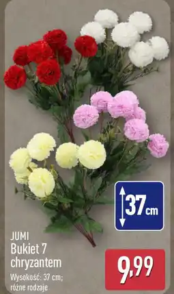 ALDI JUMI Bukiet 7 chryzantem oferta