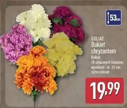 ALDI Bukiet chryzantem wys. 53 cm Goliat oferta