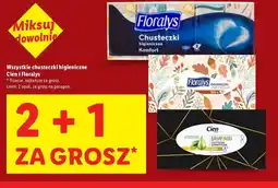 Lidl Chusteczki balsam aloes Cien oferta