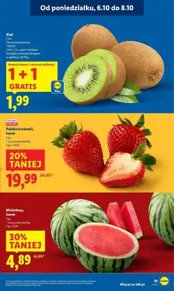 Lidl Arbuz mini oferta