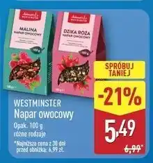 ALDI Napar dzika róża Westminster oferta