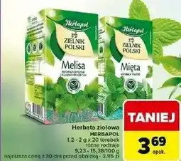 Carrefour Herbatka melisa Herbapol Zielnik Polski oferta