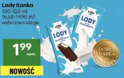 Delikatesy Centrum Lody Kanka oferta