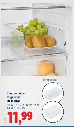Lidl Organizer do lodówki Livarno oferta