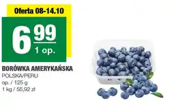 EuroSPAR Borówka amerykańska oferta