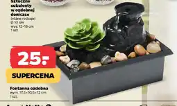 Netto Fontanna ozdobna oferta