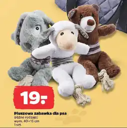 Netto Pluszowa zabawka dla psa oferta