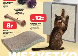Netto Drapak dla kota oferta