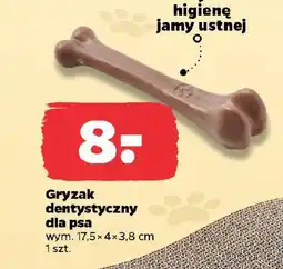 Netto Gryzak dentystyczny dla psa oferta