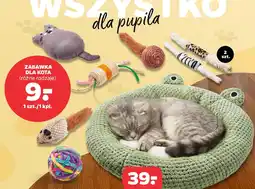 Netto Zabawka dla kota oferta