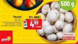 Polomarket Pieczarki oferta