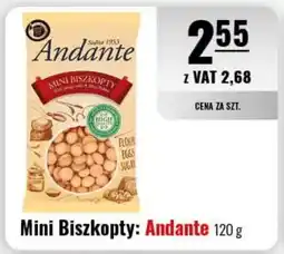 Eurocash Mini Biszkopty: Andante oferta