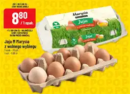 Polomarket Jaja M Marysia z wolnego wybiegu oferta
