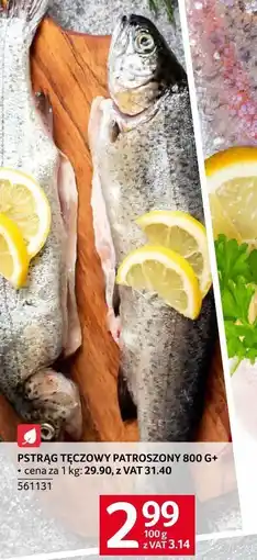 Selgros Ryba pstrąg tęczowy patroszony 800 g+ Selgros oferta