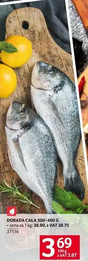Selgros Ryba dorada cała 300-400 g Selgros oferta