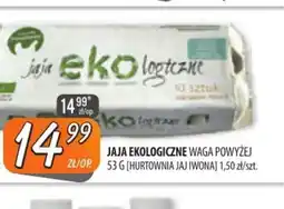 Społem Szczecin Jaja ekologiczne oferta