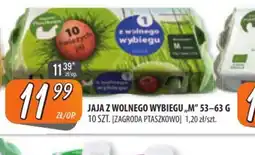 Społem Szczecin Zagroda Ptaszkowo Jaja z wolnego wybiegu oferta