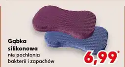 Kaufland Gąbka silikonowa oferta