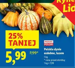 Lidl Polskie dynie ozdobne, luzem oferta