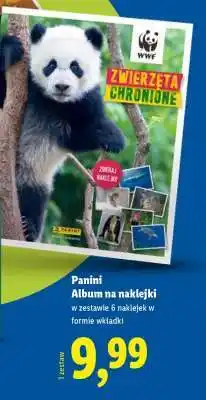Lidl Panini Album na naklejki oferta