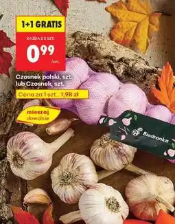 Biedronka Czosnek polski, szt. lub Czosnek, szt oferta