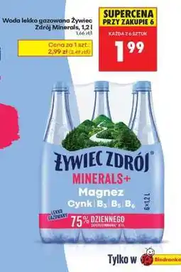 Biedronka Żywiec Zdrój Minerals + oferta