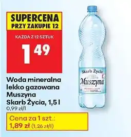 Biedronka Woda mineralna lekko gazowana Muszyna Skarb Życia, 1,5 l oferta
