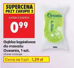 Biedronka Gąbka kąpielowa do masażu Oceania , 1 szt oferta