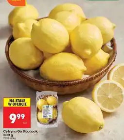Biedronka Cytryna Go Bio, opak. 500 g oferta