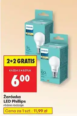 Biedronka Żarówka LED Phillips oferta