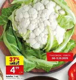 Twój Market Kalafior Twój Market oferta