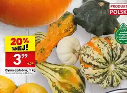 Twój Market Dynia ozdobna Twój Market oferta