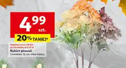 Auchan Bukiet piwonii oferta