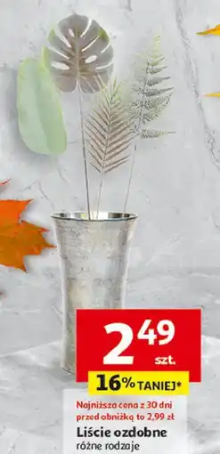 Auchan Liście ozdobne oferta