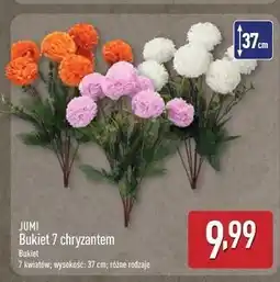 ALDI Bukiet chryzantem 37 cm Jumi oferta