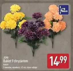 ALDI Bukiet chryzantem Jumi oferta