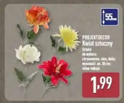 ALDI Dalia 55 cm Projektdecor oferta