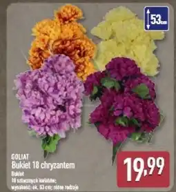 ALDI Bukiet 18 chryzantem Goliat oferta