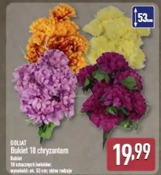 ALDI Bukiet 18 chryzantem Goliat oferta