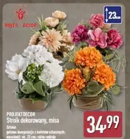 ALDI Stroik w misie Projektdecor oferta