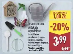 ALDI Kula nawadniająca Jes Collection oferta