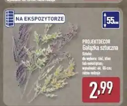 ALDI Gałązka sztuczna Projektdecor oferta