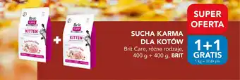 AquaelZOO Sucha karma dla kotów brit care oferta