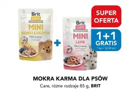 AquaelZOO Mokra karma dla psów brit care oferta