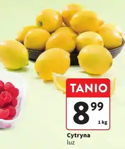 Intermarche Cytryna Intermarche oferta