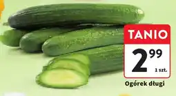Intermarche Ogórek długi Intermarche oferta