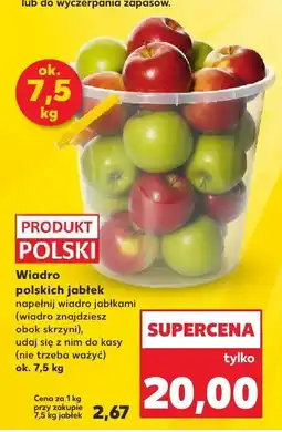 Kaufland Jabłka polskie wiaderko 7.5 kg Kaufland oferta