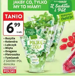 Intermarche Zioła Z SADÓW I PÓL (bazylia, kolendra, lubczyk, mięta, oregano, pietruszka, tymianek) oferta
