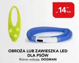 AquaelZOO Obroża lub zawieszka led dla psów dogman oferta