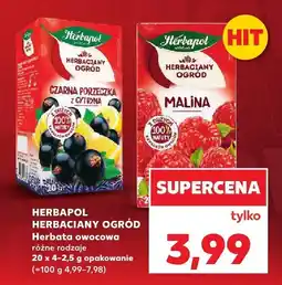 Kaufland Herbata owocowa Herbaciany Ogród różne rodzaje Herbapol oferta